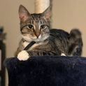 Photo of Phoenix