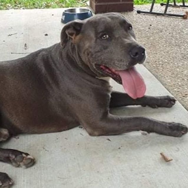 Photo of Andy And Missy