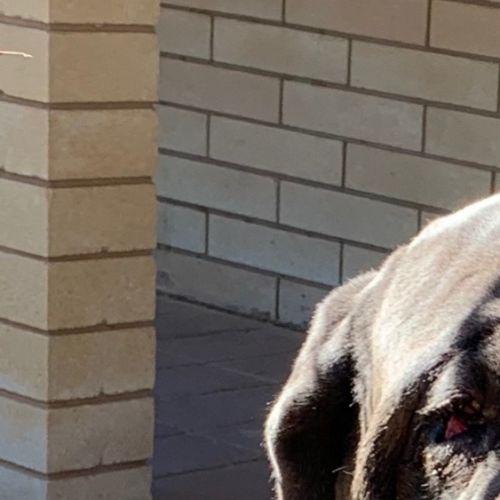 Ted *On Trial in His New Home*