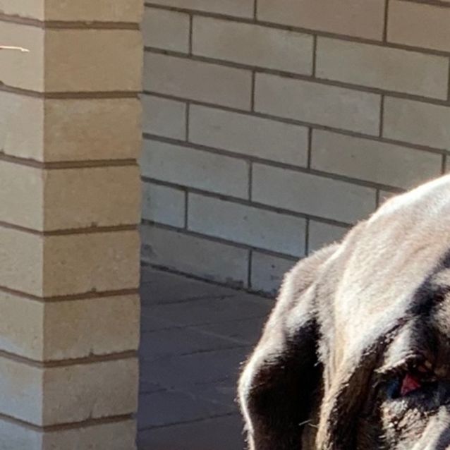 Photo of Ted *On Trial In His New Home*