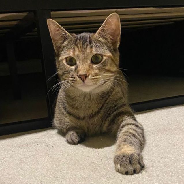 Photo of Ramona