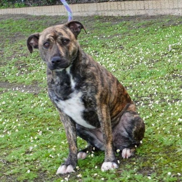 Photo of Roxy