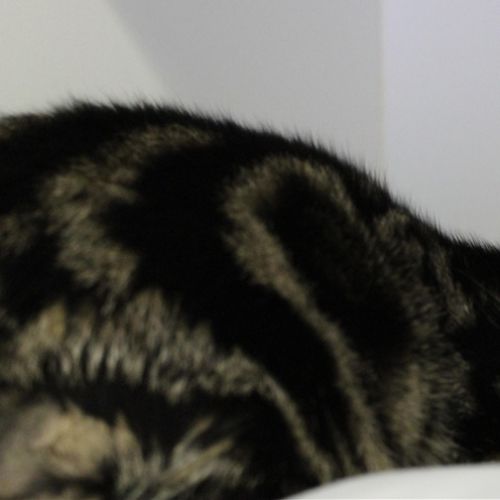 Marbles