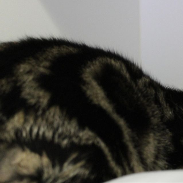 Photo of Marbles