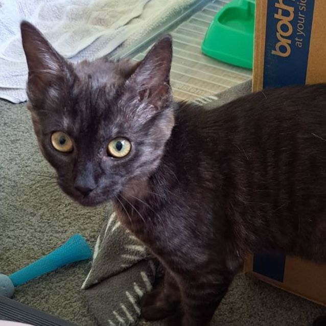 Photo of C1119 River 