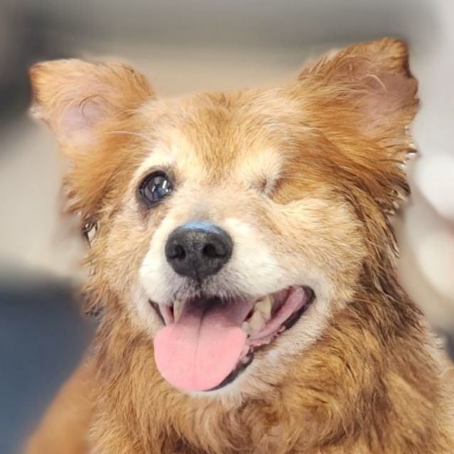 Photo of Mickey And Missy 