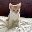 Photo of Sandy