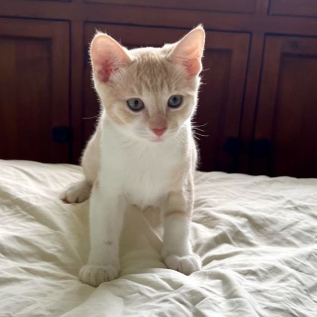Photo of Sandy
