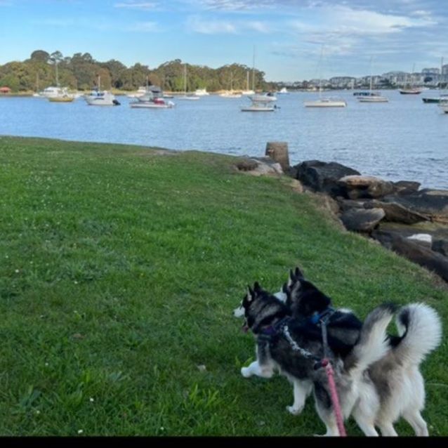 Photo of Hunter And Nala ❤️