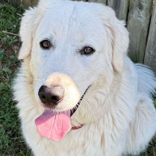 No photo for Blondie