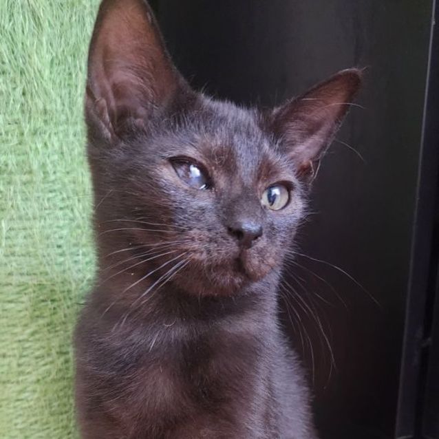 Photo of Habanero ❤️‍🔥🌶🌶