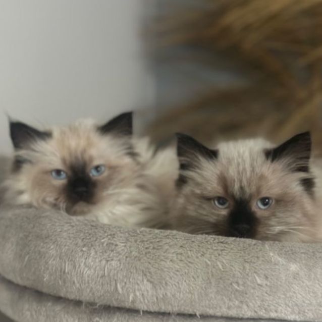 Photo of Kai 😻💙