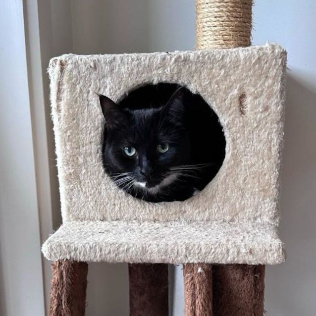 Photo of Mica 🌸🌸🌸