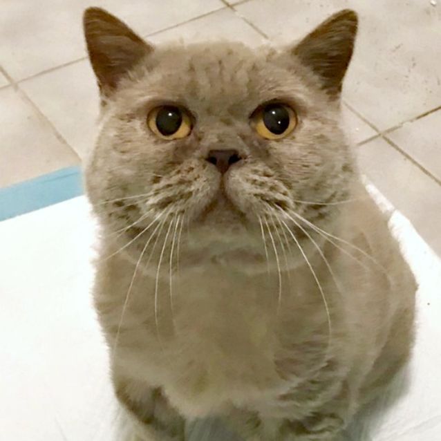 Photo of 💜 Jubilee 💜