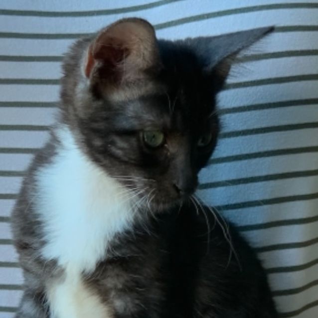 Photo of Kaylee
