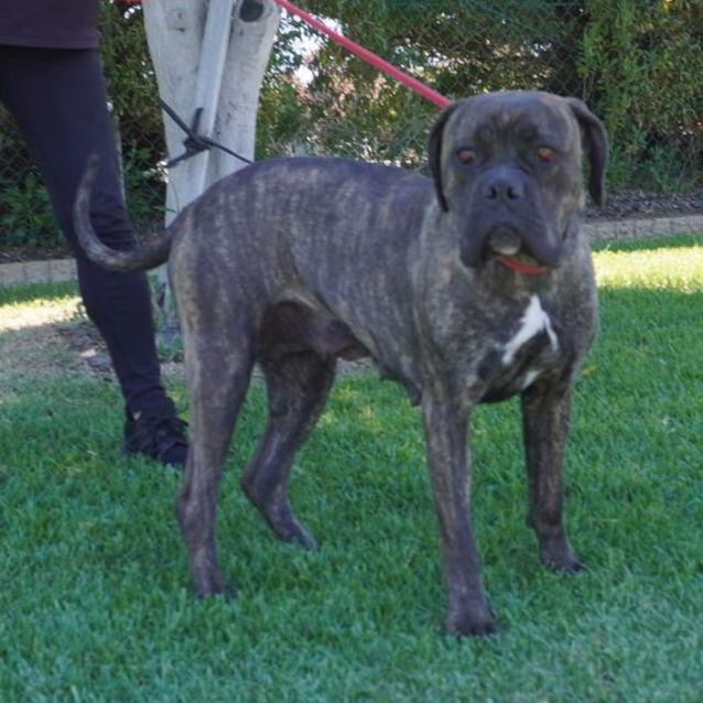 Photo of Lucy