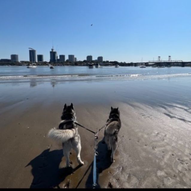 Photo of Hunter And Nala ❤️