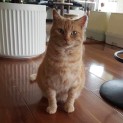 Photo of Angel