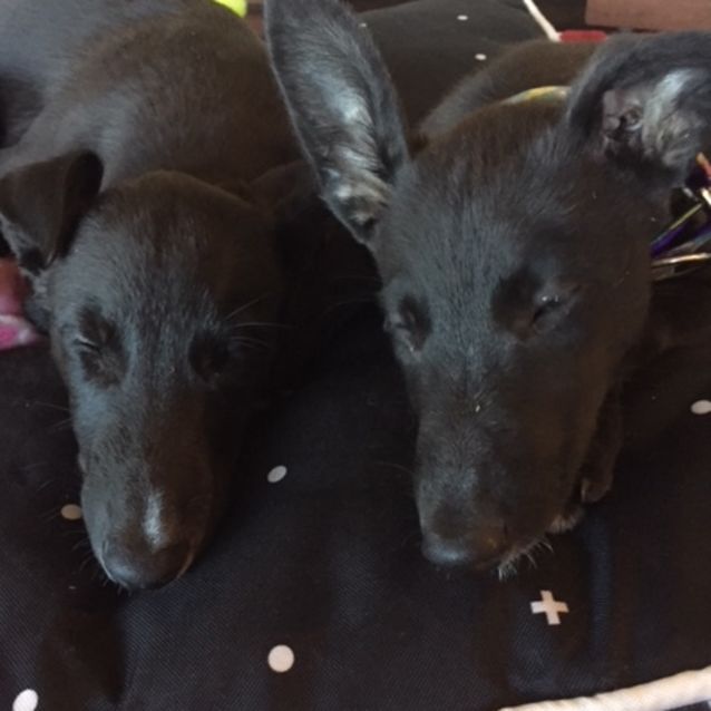 Photo of Nutmeg & Cinnamon