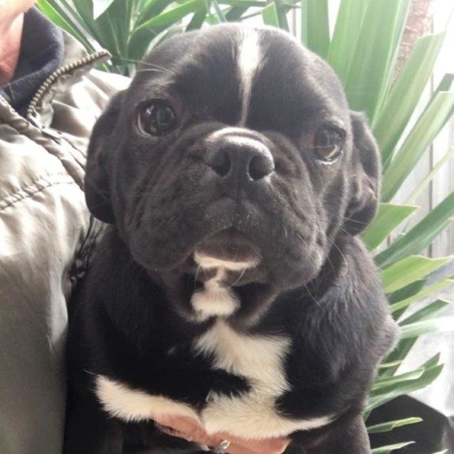 Photo of Louis Mandeville