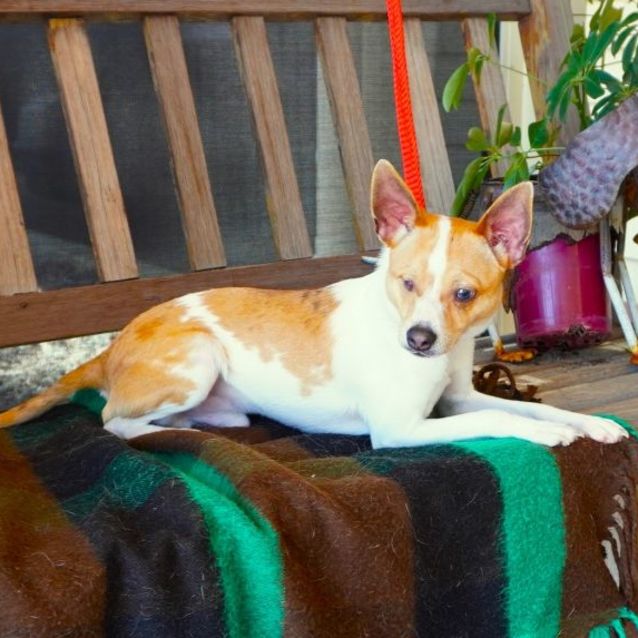 Photo of Wilkie