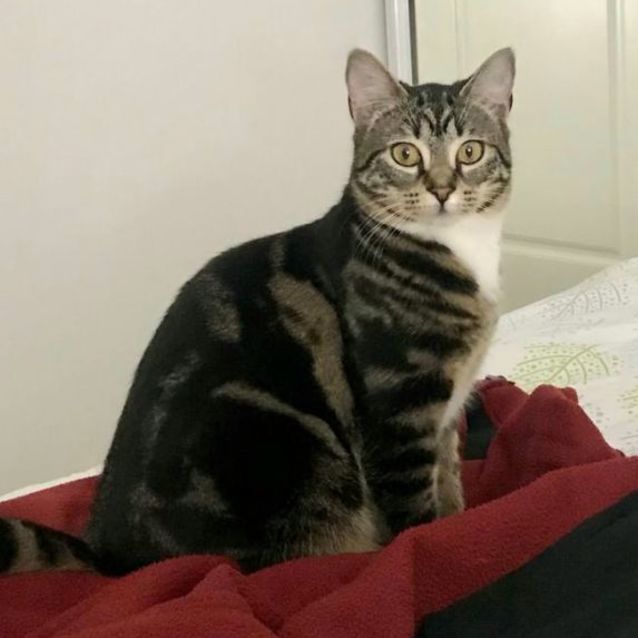 Photo of Bebe