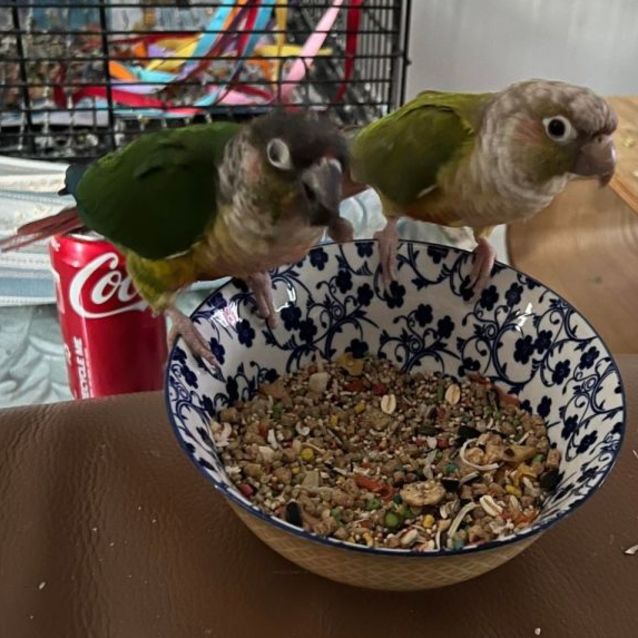 Photo of Ozzy And Motto