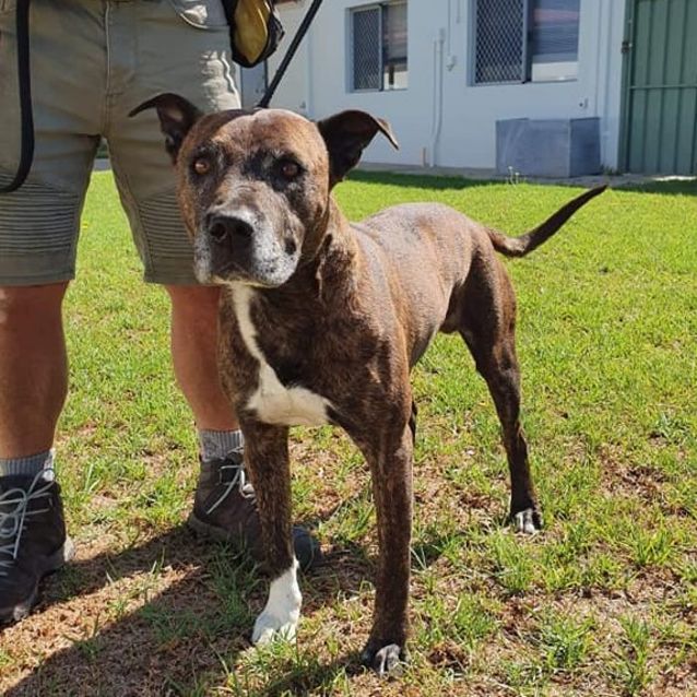 Photo of Mikey Dl2399