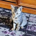 Photo of Billbie
