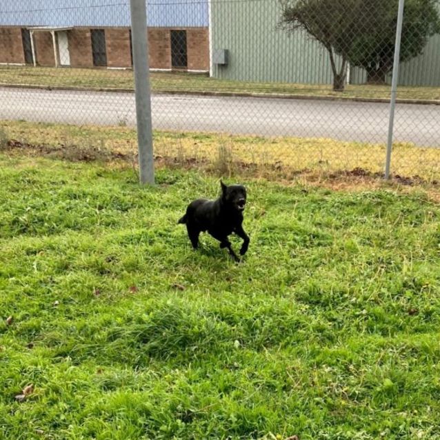 Photo of Ace
