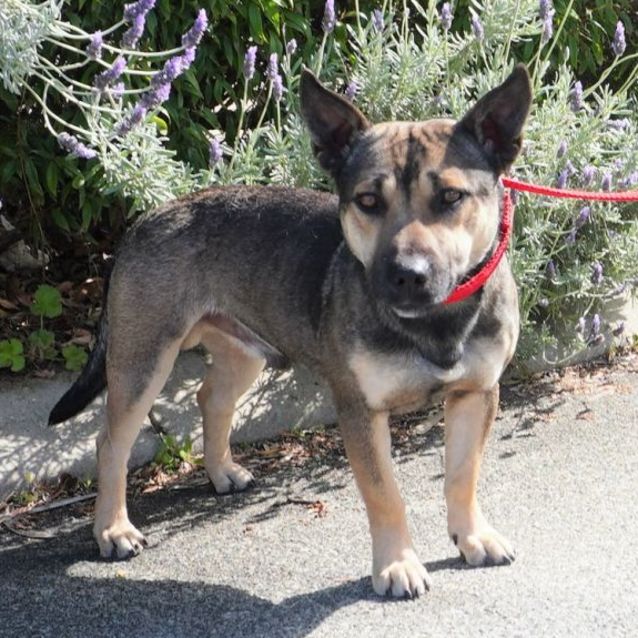 Photo of Bucky