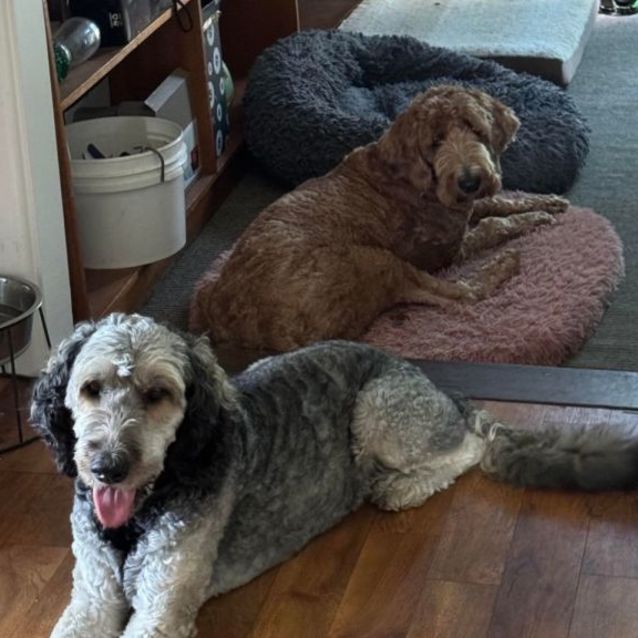 Photo of 💙 Bentley 💙