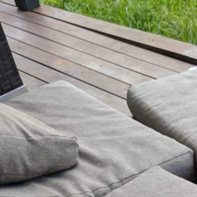 Photo of Zoe. Staffy Cuteness To A Tee!