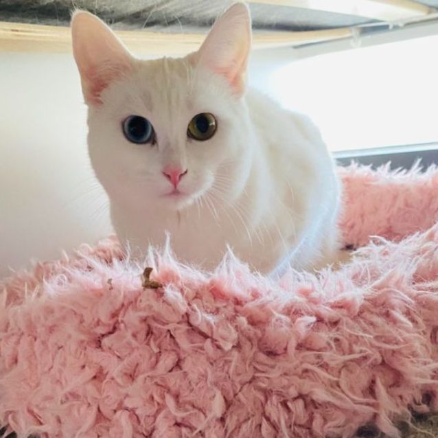 Photo of River (Located In Docklands)