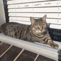 Photo of Ruby