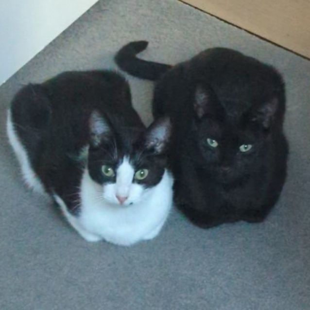 Photo of Lewis And Lily 