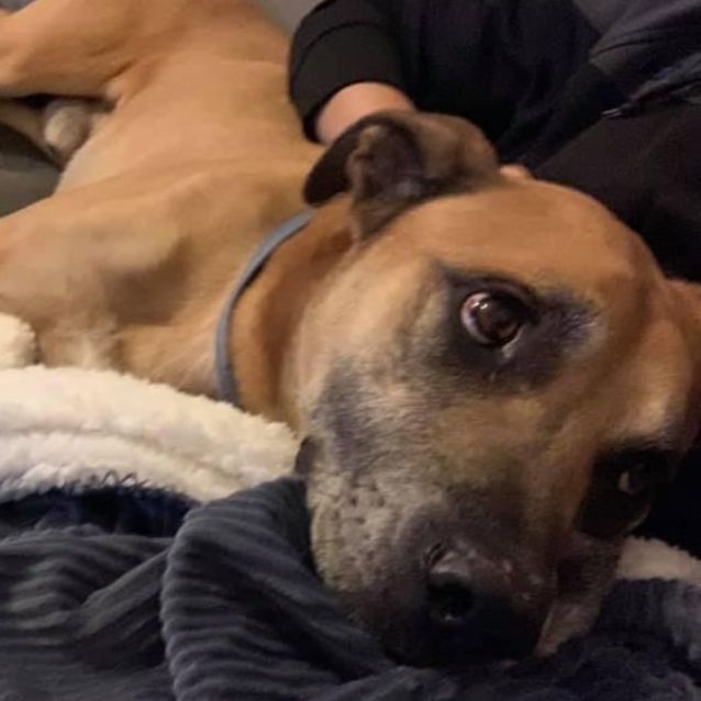 Photo of Axel Dl2635