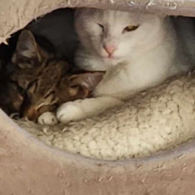 Photo of Jesse & Orianne