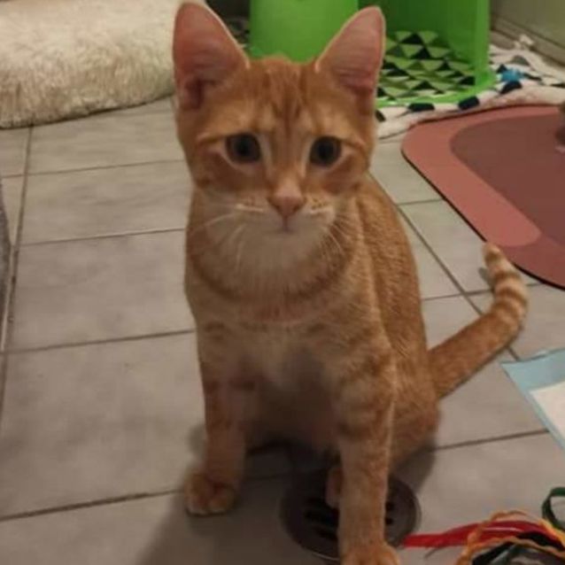 Photo of Wilbur