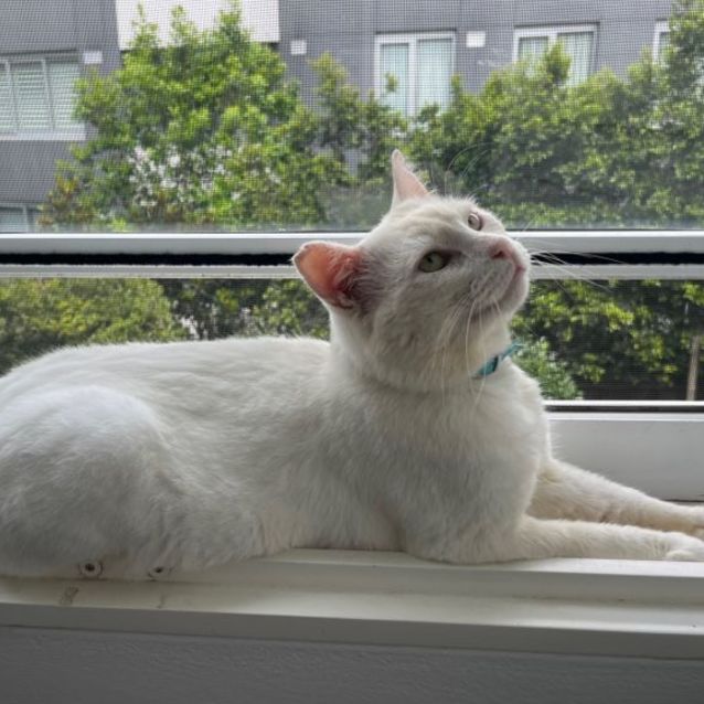 Photo of Bilbo