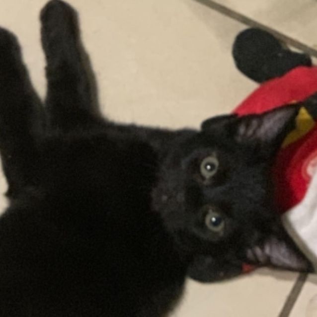 Photo of Buddy