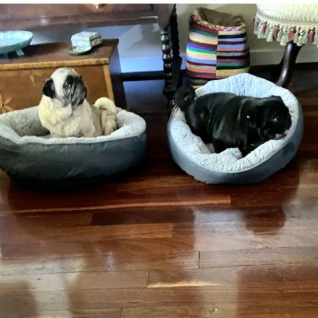 Photo of Meg And Wally 