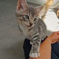 Photo of Artemis & Apollo