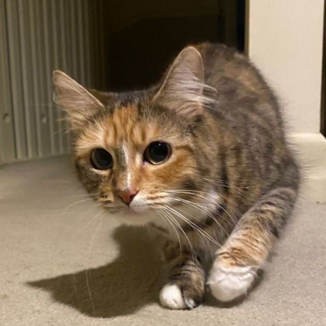 Photo of Ramona