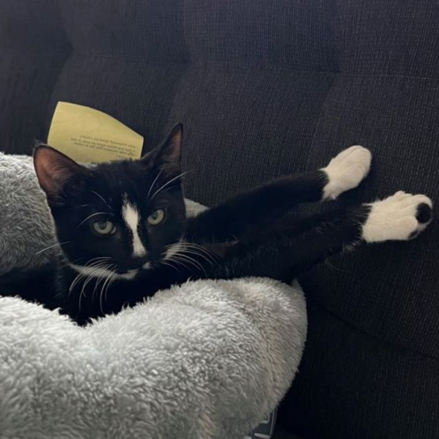 Photo of Max