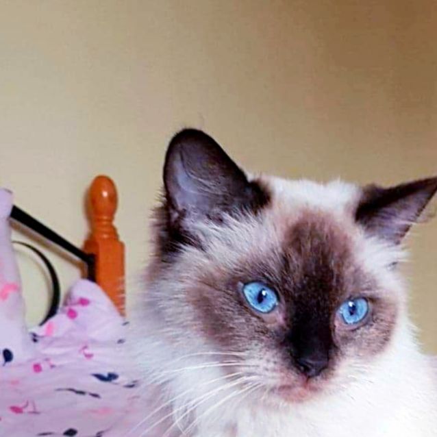 Photo of Anastasia