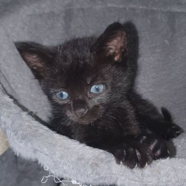 Photo of Hershey