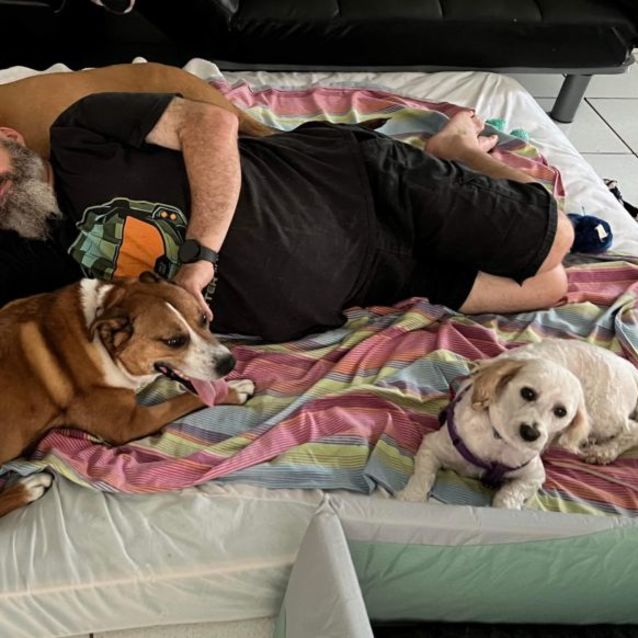 Photo of Tommy 🐶❤️