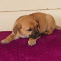 Photo of Winnie