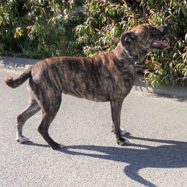 Photo of Roxy